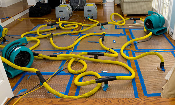 Professional Water Extraction technician working in Badger, IA
